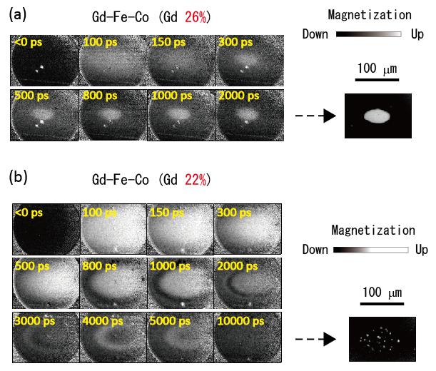 Magnetic Images