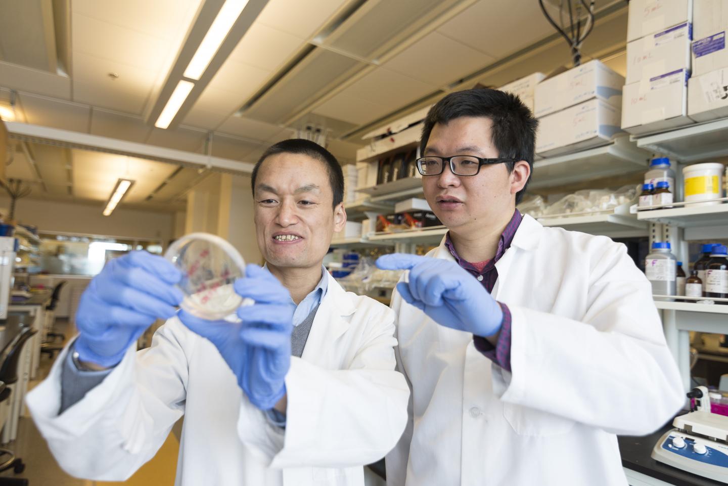 Zhaokang Cheng and Co-author Peng Xia in Lab