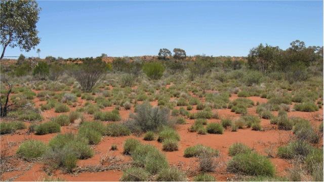 Redsands Study Area