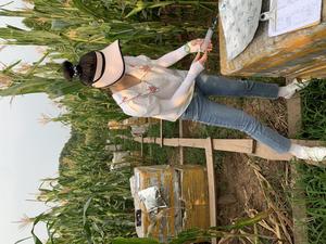 Field measurement in maize cultivation systems of Sichuan, China