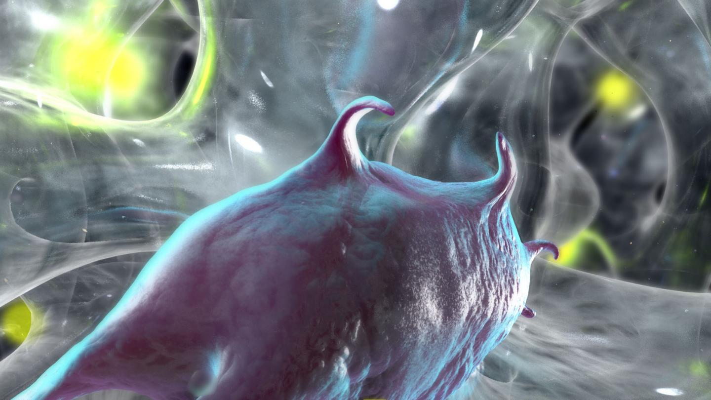 The Cell Moves Through the Gel