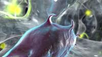 The Cell Moves Through the Gel