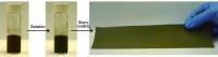 Electrode Fabrication Process