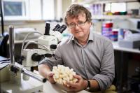Terence Hughes, Winner of the BBVA Foundation Frontiers of Knowledge Award in Ecology.