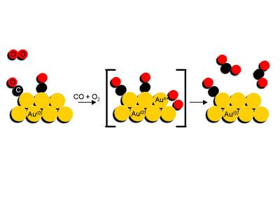 Mechanism for the Catalytic Reaction