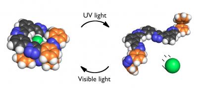 Chloride Receptor