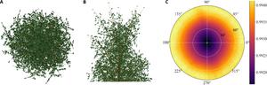 HET09. (A) Birch tree nadir and (B) oblique views. (C) Emissivity of HET09 without branches.