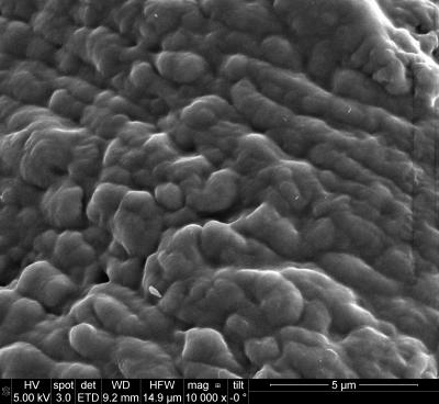 Closed Structure of Cotton