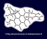 Natural Antibiotic