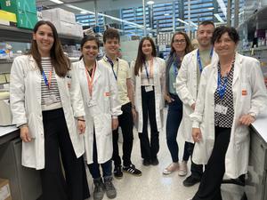 Dr Anna Bigas lab, authors of the study
