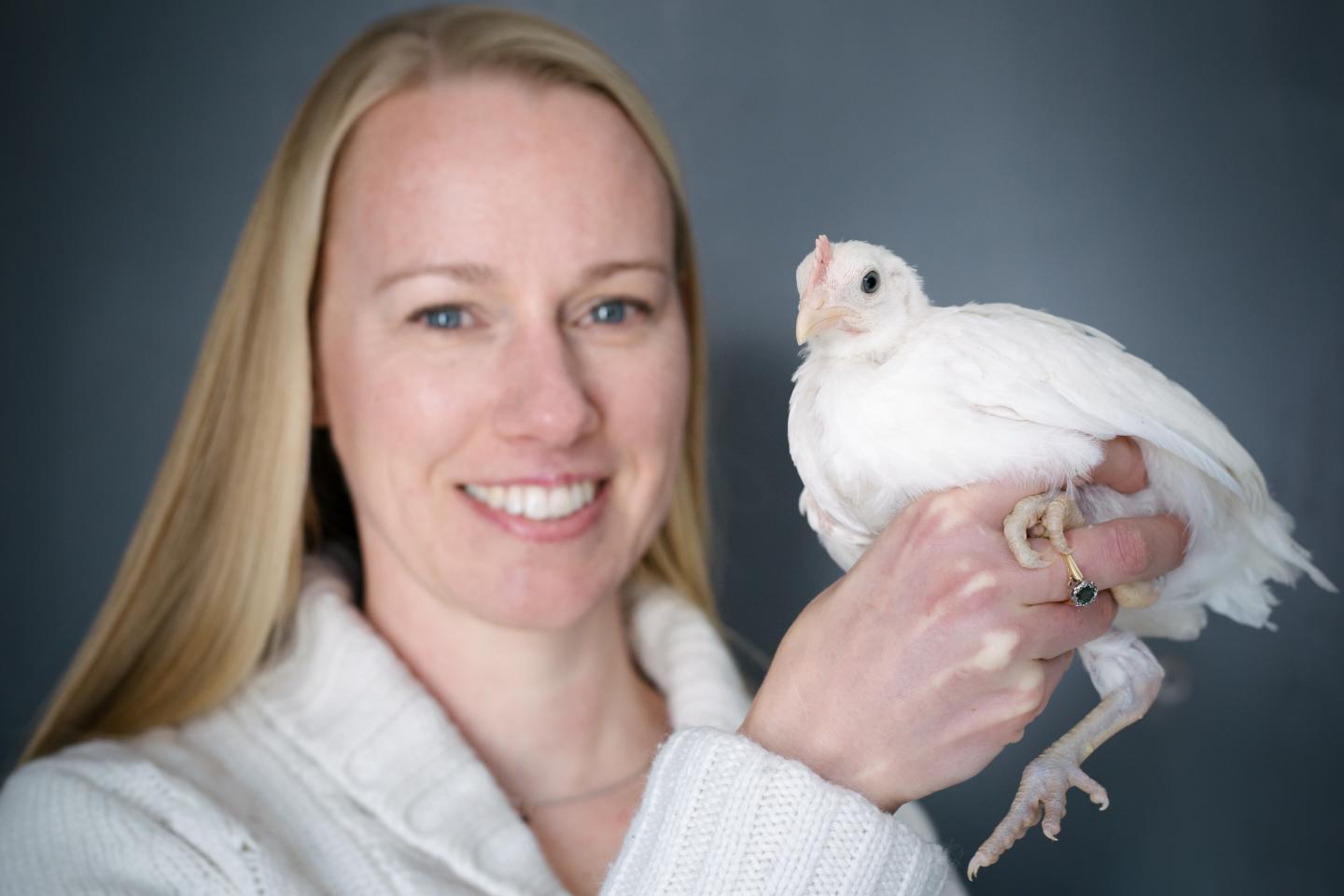 Hanne Lovlie, Linköping University