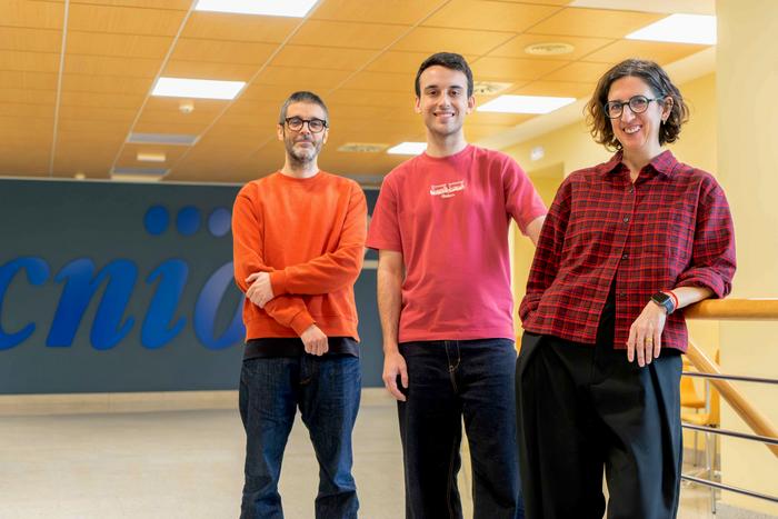 A new experimental strategy uses gene editing against tumours with too many oncogenes