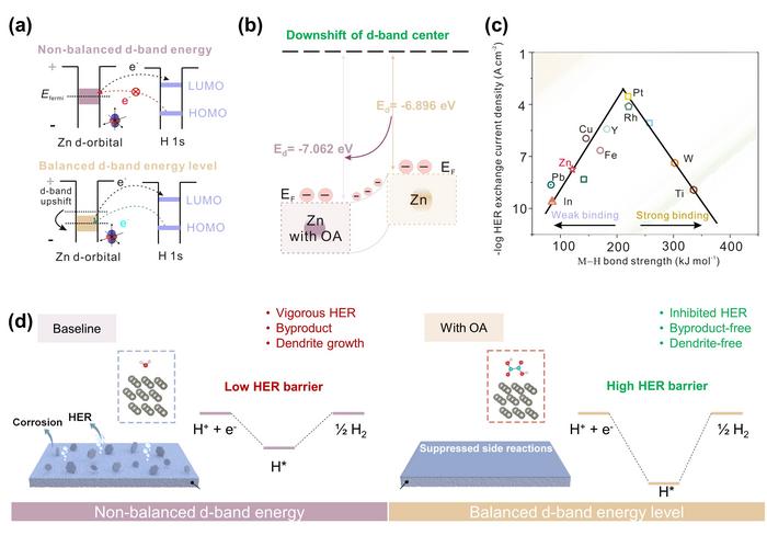 Schematic d-band model and energy band diagrams