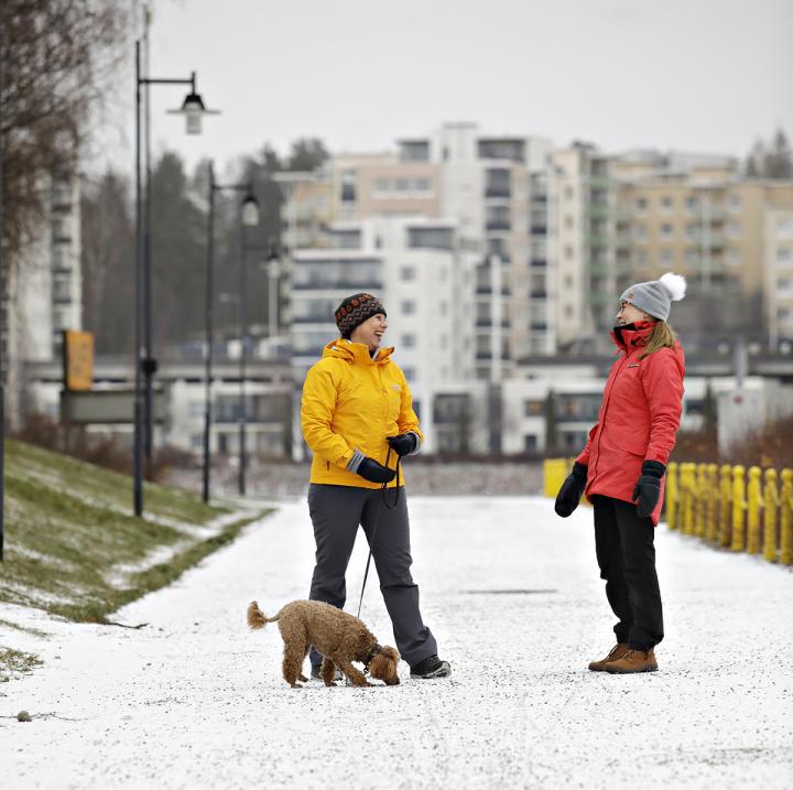 Mental Health Supports Physical Activity in Midlife