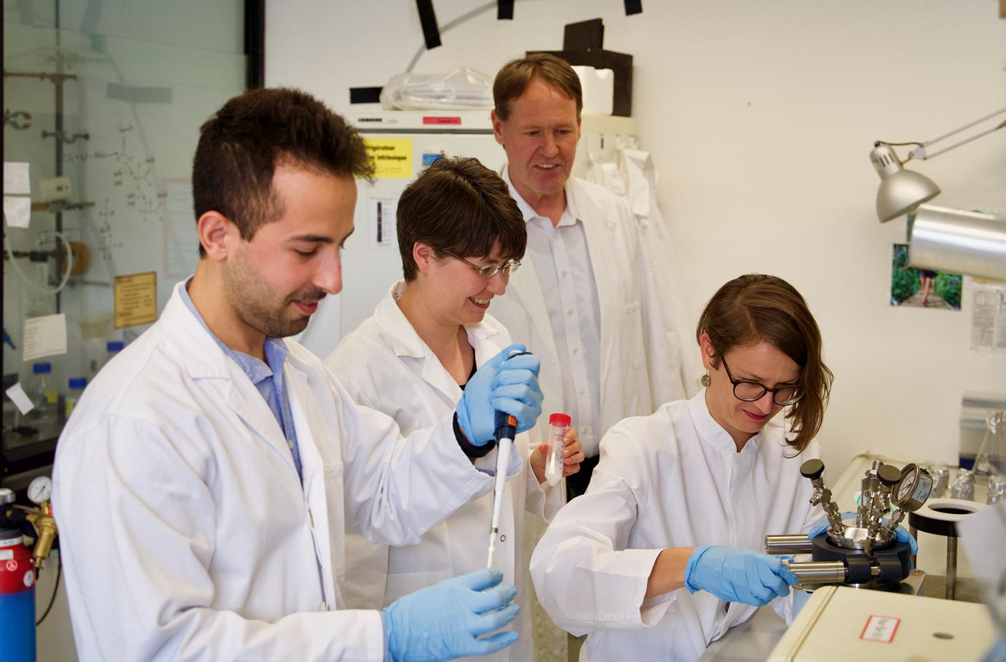 Team at Institute for Molecular Evolution