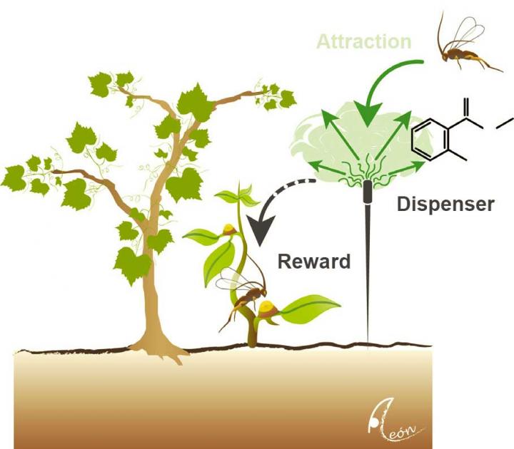 Attract and Reward Concept