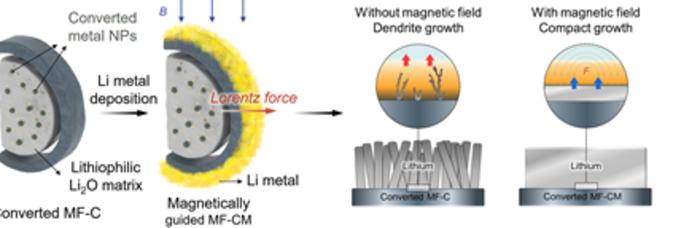 Schematic illustration of a magneto-conversion anode design for high energy density and dendrite-free hybrid lithium-ion/lithium-metal batteries