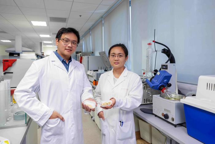 Astragali radix extracts and slices