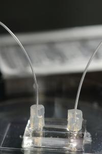 Lab Chip Closeup