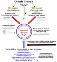 Diarrheal Disease