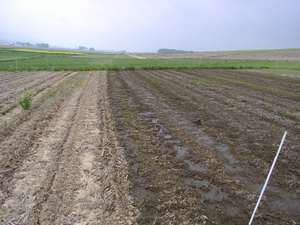 injection manure