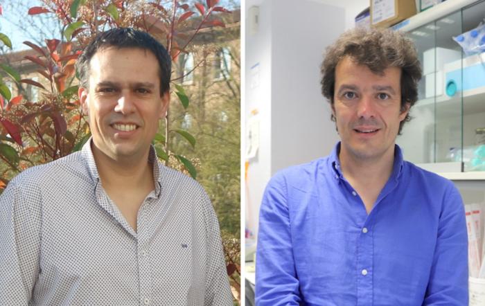 Dr Diego Sánchez IISA and Dr. Pablo Menéndez IJC, principal authors of the study