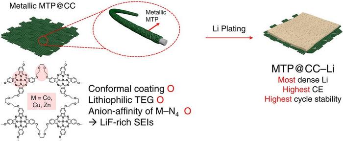 Anion-flux–guided interfacial design for stable lithium metal deposition.