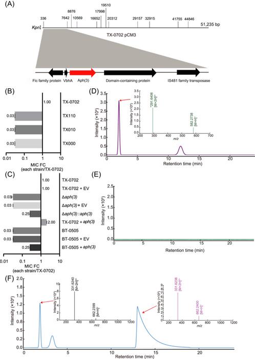 Figure 1. Identification of aph(3) and its role in streptomycin resistance in Clavibacter michiganensis.