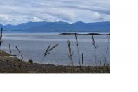 Despite the Beauty of the Waters They Contain Contaminants that Can Be Dangerous for Fish