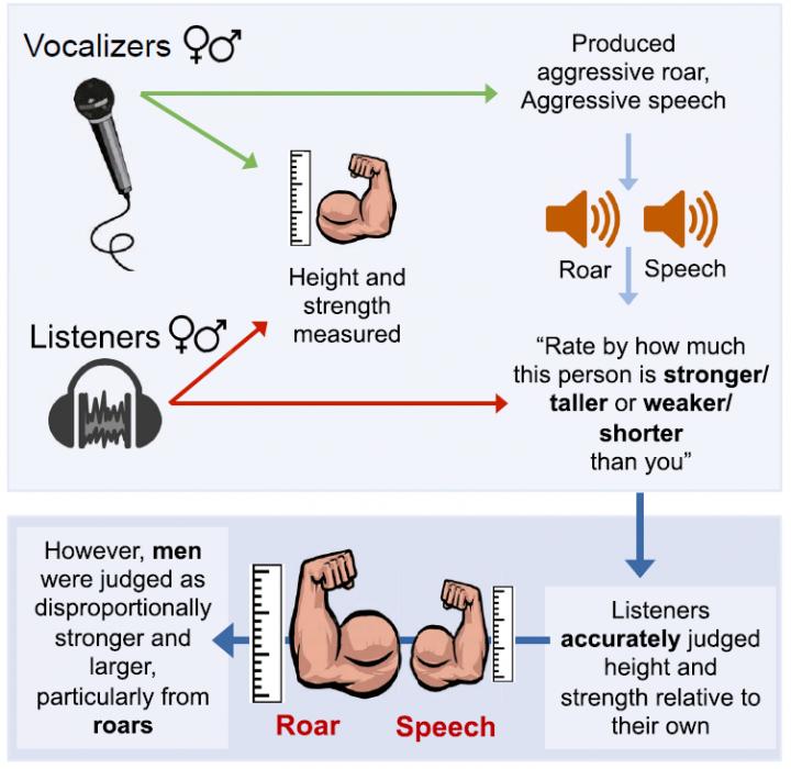 Human Roar Infographic