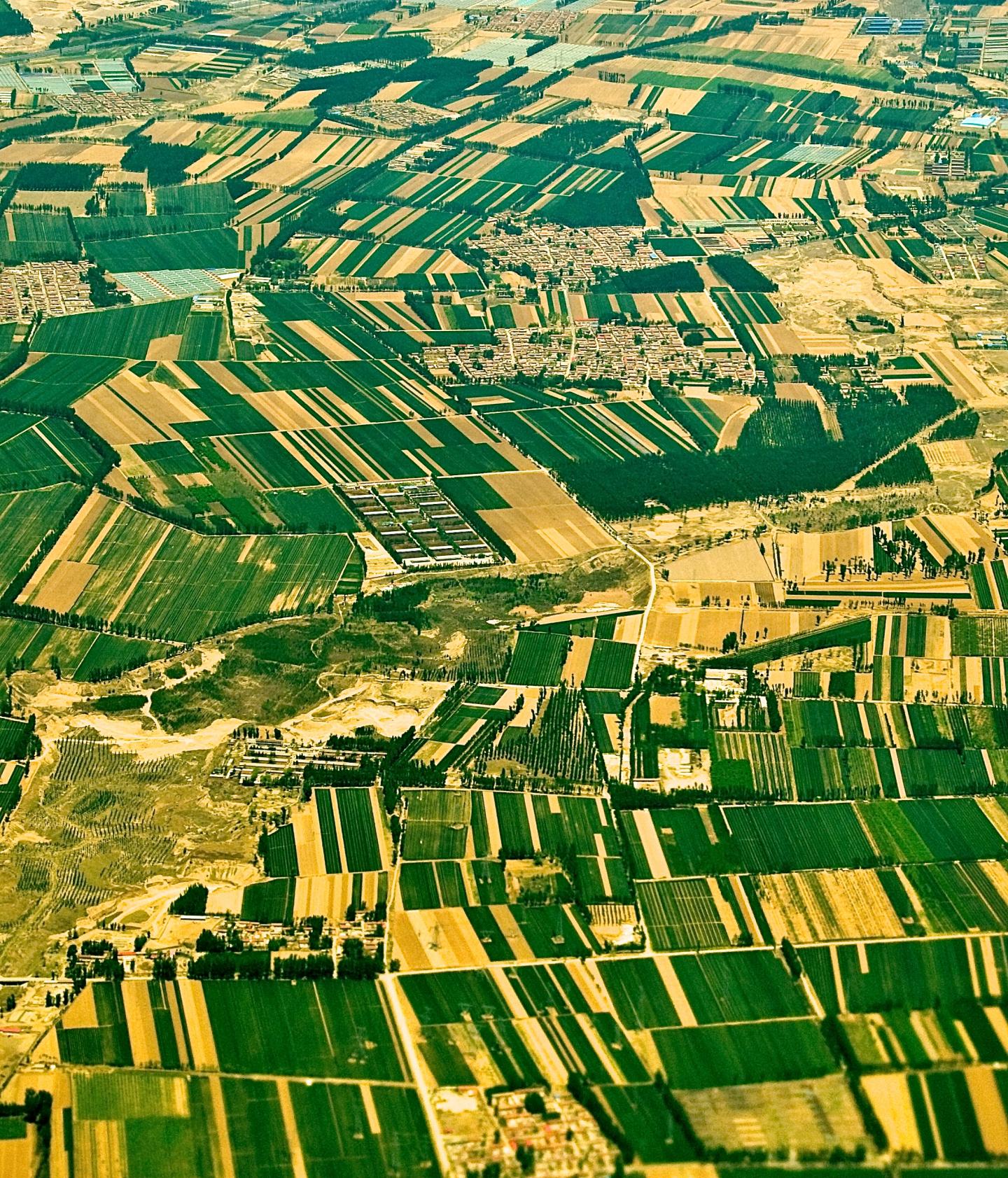Small Farms in China