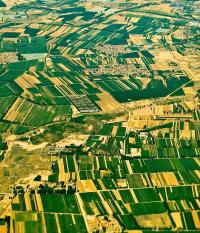 Small Farms in China