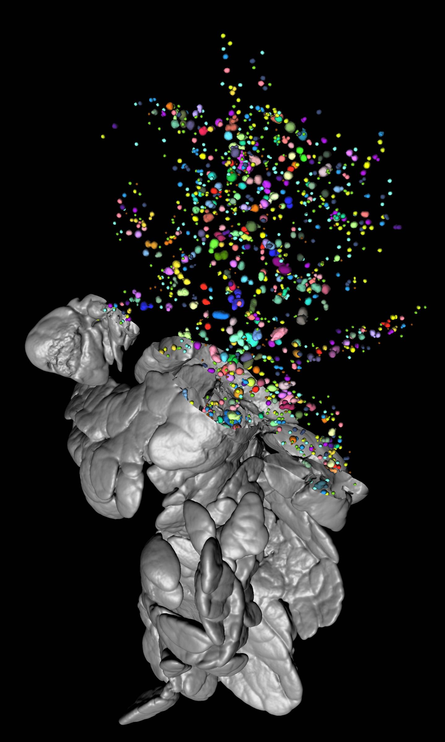 3-D Visualization 2