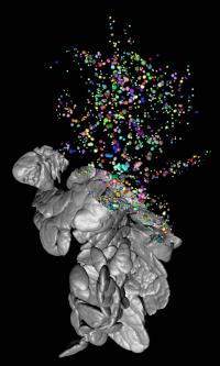 3-D Visualization 2