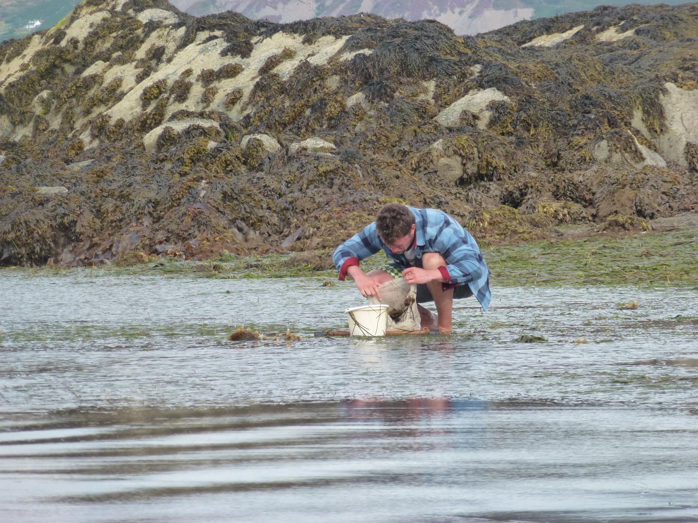 Seagrass Commons Tragedy (3 of 3)