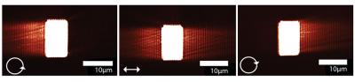 Left and Right Direction of Optical Signals