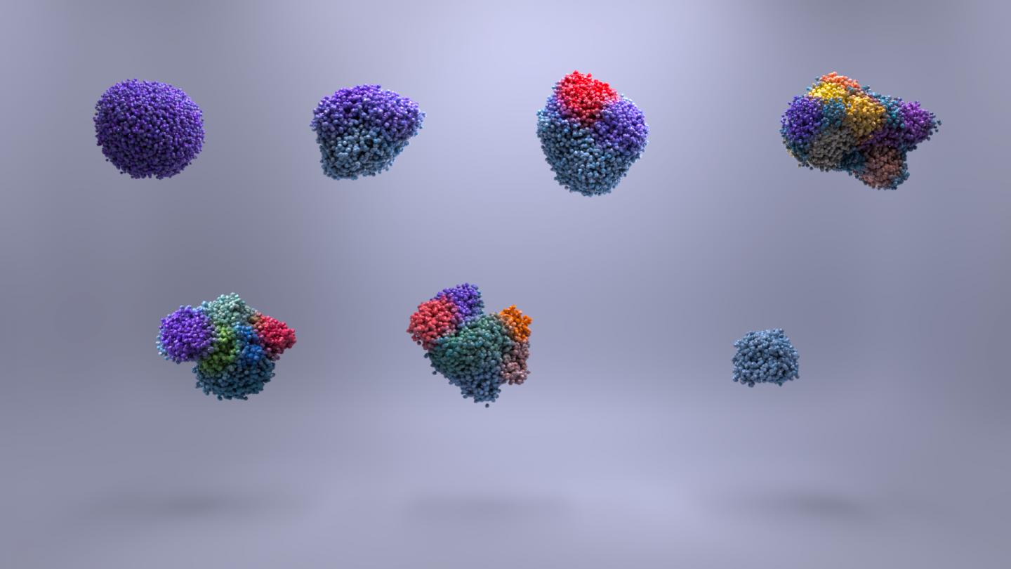Kidney Cancer Subtypes (Plain Background)