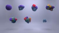 Kidney Cancer Subtypes (Plain Background)