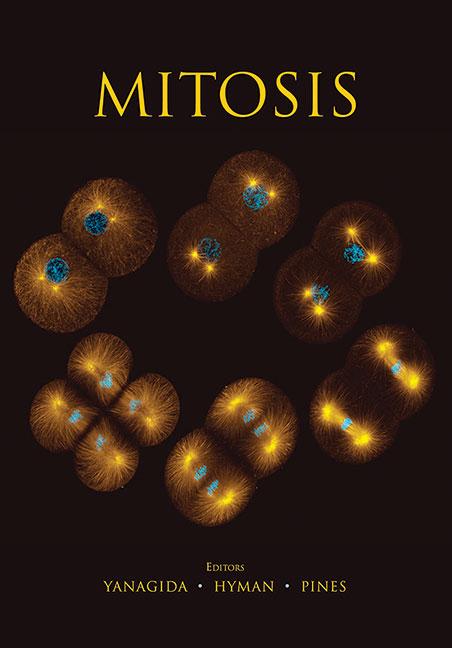 Mitosis