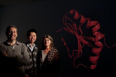 Dr. Jake Baum, Mr. Wilson Wong, Dr. Jacqui Gulbis, Walter and Eliza Hall Institute 