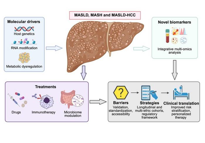 From Molecular Drivers to Clinical Translation of New Biomarkers in MASLD, MASH, and MASLD‑HCC.