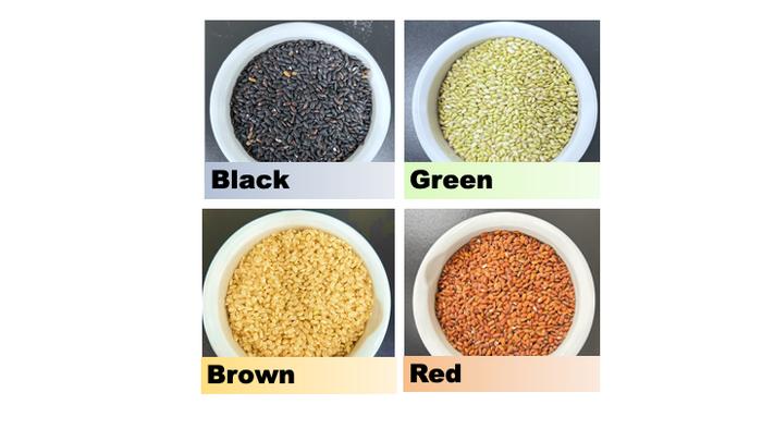 The different types of pigmented rice cultivars investigated in this study