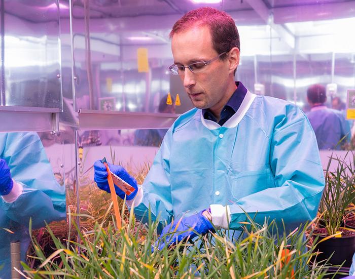 Tiny DNA fragments, big agricultural insights