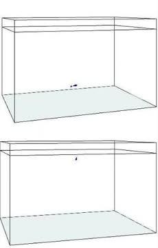 Zebrafish Swimming in 3-D: Real vs. Simulated