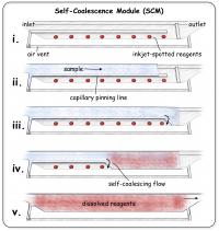 Artist's Depiction of the Process of Self-Coalescence in a Microchannel