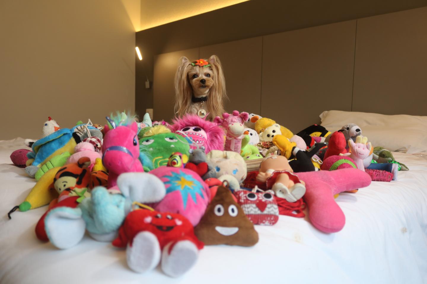 Vicky Nina among her toys
