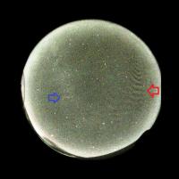 Auroras