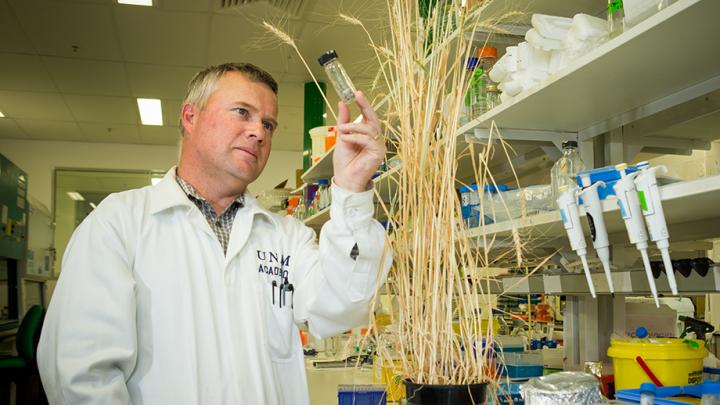 Peter Solomon, Australian National University