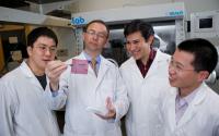 Completely Plastic Solar Cell (1 of 2)