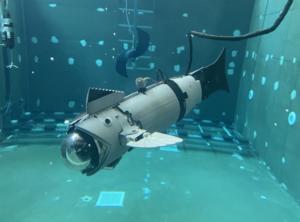 The robot fish developed by CIRTESU-UJI and tested in PortCastelló receives the national award for best work in marine automation
